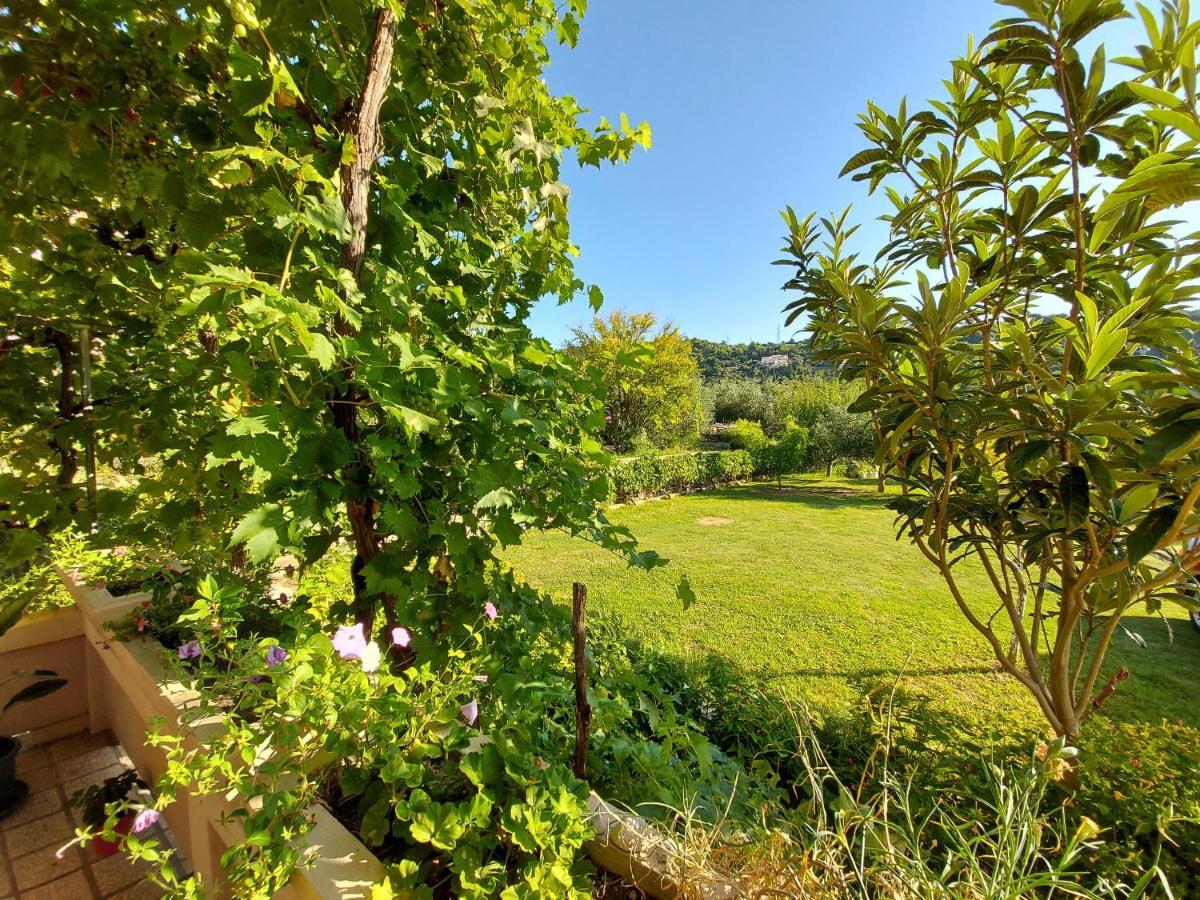 Apartman Anka Palit Esterno foto